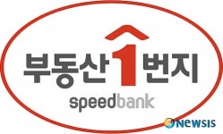 스피드뱅크, 부동산1번지로 사명 변경