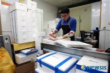 [신년기획]청정 한우로 구제역 극복…장흥 정남진 한우거리