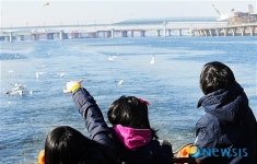 갈매기들에게 먹이 주는 어린이들