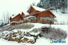 안동 계명산자연휴양림 이용실적 껑충