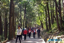부산진구, 백양산 나들숲길 조성