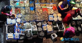 설 앞둔 노량진 수산시장