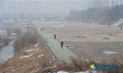 안개 낀 탄천 고수부지