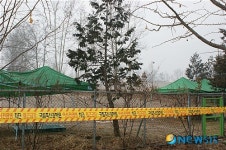 국립축산과학원 축산자원개발부 돼지 구제역 양성