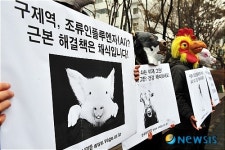 육식 NO! 채식하세요!