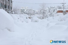 100년 만에 폭설로 무덤이 된 주차장