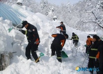 하우스 눈 제거