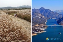 녹색길 조성될 충주 비내섬과 제천 청풍호반