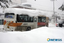 삼척 폭설, 힘겹게 눈길을 헤치는 시내버스