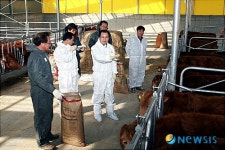 이석화 청양군수, 한우농장 방문 ‘백신접종 활동’