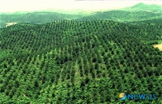 채종원을 지켜라…산림당국 총력체제