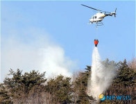화천 軍사격장 산불 1시간20분만에 진화