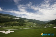 하이원 C.C, 개장준비에 여념