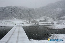 눈으로 뒤덮인 삼척 오십천