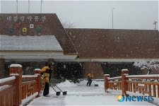 눈 치우는 대관령박물관 직원들