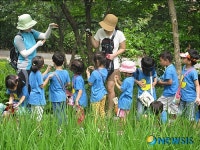 서대문구 무료 숲속생태체험교실 운영