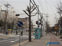 춘천시, 숫자형 신호등 20곳 추가