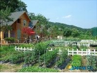 양평 신재생에너지 전원주택, 그 가격은?