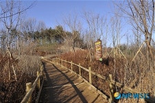 양천구 계남공원 생태통로로 놀러오세요