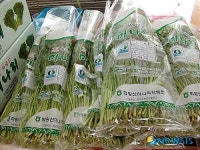 창녕 화왕산미나리 맛보러 오시오