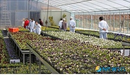 창녕 장애인복지관, 꿈의 해피팜 봄나들이