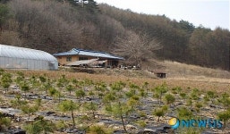 인제군 오지마을 뒷골 5월말까지 전기 공급
