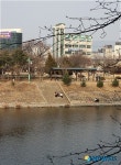 호반도시 춘천은 완연한 봄