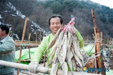 최문순 강원도 황태 최고예요