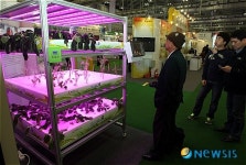 친환경 재배기술 시연