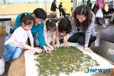보성군, 한파피해 극복 다향제 준비 한창