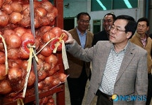 무안군 양파유통상황 점검하는 정승 제2차관
