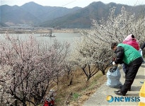 양산시 원동면, 환경정화운동