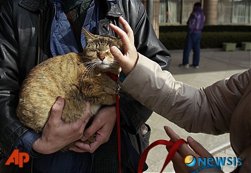 부산 오피스텔에서 고양이에 의한 화재 발생, 인명피해 없어