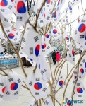 태극가 사이로 보이는 시민들
