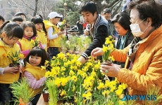 희망의 나무 나눠요