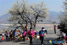 섬진강이 보이는 매화마을