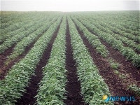 현대중공업이 운영중인 러시아 농장