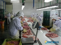 “파산이냐, 회생이냐” 벼랑 끝에 선 화인코리아