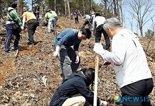 나무 심는 서울체신청 직원들