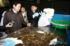 수산물 방사능검사과정 점검하는 유정복 장관
