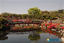 연기군, 베어트리파크 수목원 전경