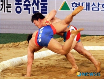 김보경 한라장사 등극