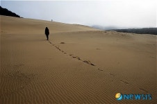 [감성 사진여행] 대청도 모래산