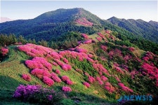 남원 지리산 철쭉 보세요 바래봉 둘레길 개통