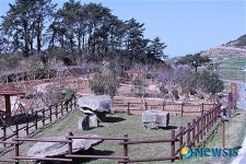 세계슬로길 1호 청산도에 향우동산 조성