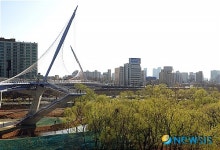 생태숲과 어우러진 샛강 보도교