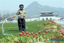 듈립아 목마르지