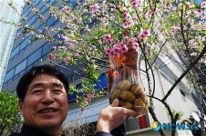 도시농장표 도화주 입니다