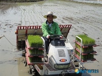 상주시, 올해 첫 모내기···김진형씨 논에서 실시