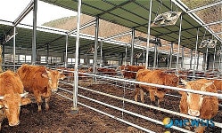 동해시, 가축분뇨 배출시설 점검